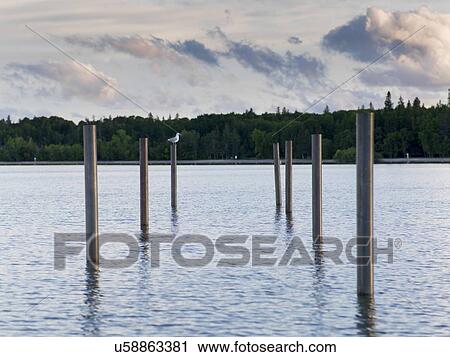 Stock Image - Wooden posts in the lake, Lake Winnipeg, Riverton, Hecla Grindstone Provincial Park, Manitoba, Canada. Fotosearch