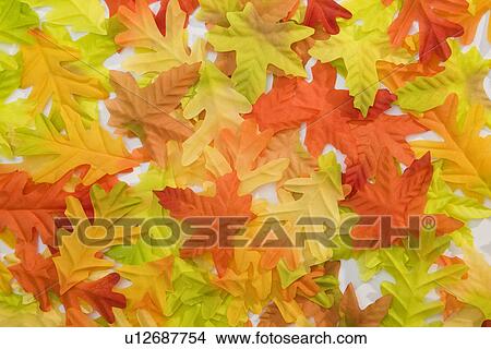 Picture - Autumn oak leaves. Fotosearch