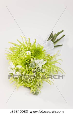 Bouquet of flowers View Large Photo Image Stock Image - Bouquet of flowers. Fotosearch