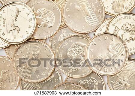 Canadian dollars View Large Photo Image Stock Image - Canadian dollars. Fotosearch