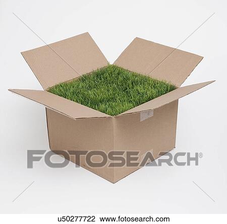 Stock Image - Carboard box with lawn inside, studio shot. Fotosearch
