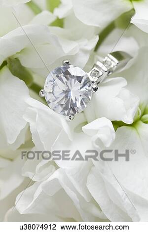 Close-up of diamond ring in white flowers View Large Photo Image Stock Image - Close-up of diamond ring in white flowers. Fotosearch