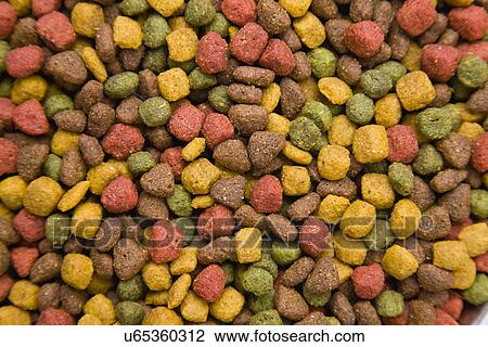 Stock Image - Close-up of dog food. Fotosearch