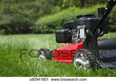 Close-up of push mower on lawn View Large Photo Image Stock Image - Close-up of push mower on lawn. Fotosearch