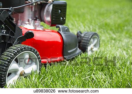Stock Photograph - Close-up of push mower on lawn. Fotosearch