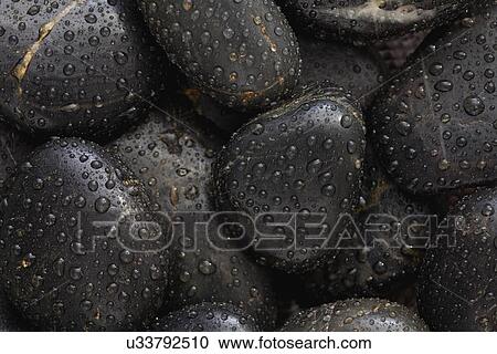 Stock Image - Close up of wet pebble stones in spa, Studio shot. Fotosearch