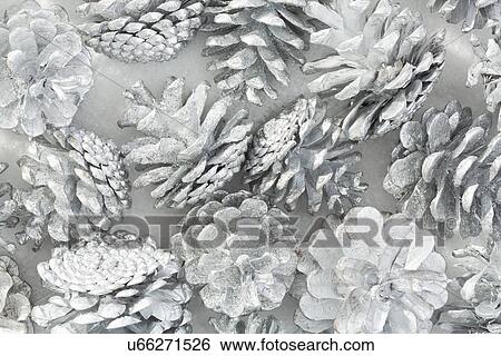 Close up view of pine cones View Large Photo Image Stock Photograph - Close up view of pine cones. Fotosearch