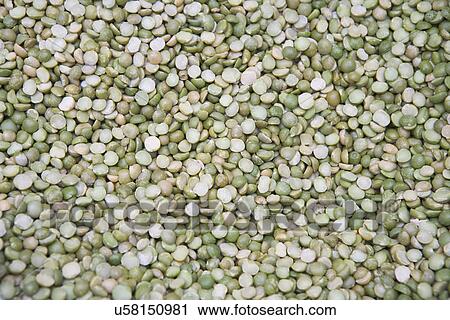 Grains of green lentil, full frame View Large Photo Image Stock Image - Grains of green lentil, full frame. Fotosearch