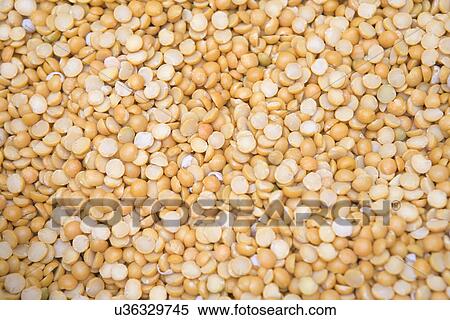 Stock Photography - Grains of lentil, full frame. Fotosearch