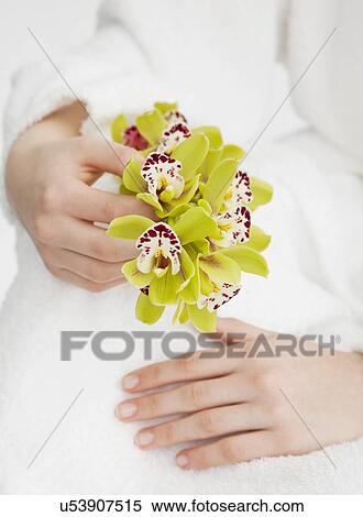 Hands holding tropical flower View Large Photo Image Stock Photography - Hands holding tropical flower. Fotosearch