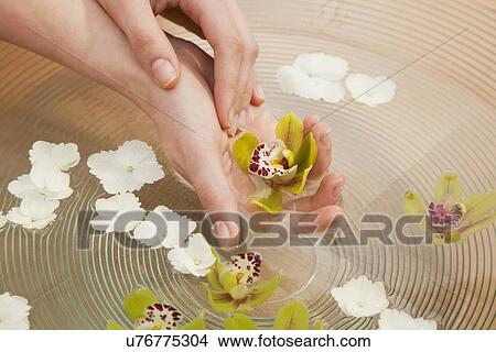 Picture - Hands in bowl with clean water and flowers. Fotosearch