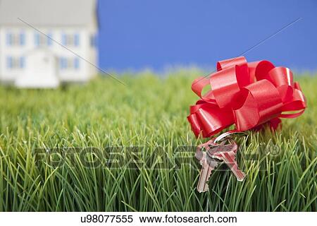 Stock Photography - House keys with red ribbon on grass. Fotosearch