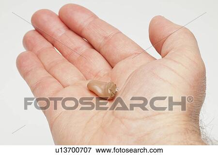 Human hand holding hearing aid View Large Photo Image Stock Photo - Human hand holding hearing aid. Fotosearch