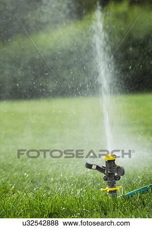 Stock Photo - Lawn sprinkler. Fotosearch
