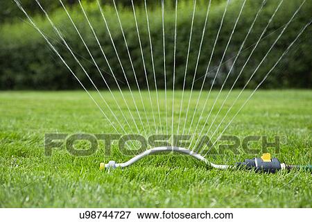 Lawn sprinkler View Large Photo Image Stock Photo - Lawn sprinkler. Fotosearch