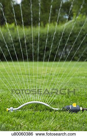Lawn sprinkler View Large Photo Image Stock Photograph - Lawn sprinkler. Fotosearch