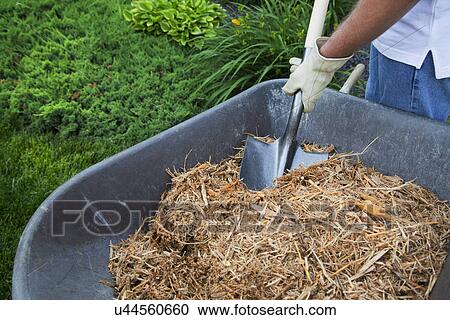 Stock Image - Man preparing . Fotosearch