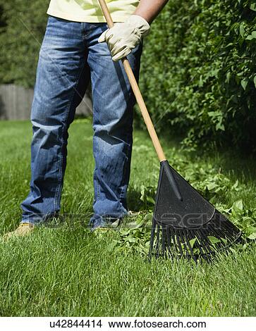 Man raking lawn View Large Photo Image Picture - Man raking lawn. Fotosearch