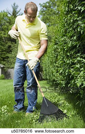 Man raking lawn View Large Photo Image Stock Photograph - Man raking lawn. Fotosearch