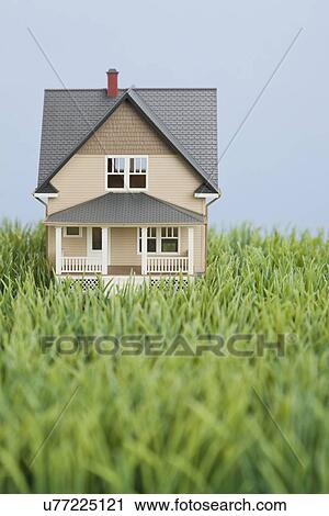 Model house on fake grass View Large Photo Image Stock Image - Model house on fake grass. Fotosearch