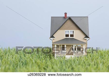 Model house on fake grass View Large Photo Image Stock Photo - Model house on fake grass. Fotosearch