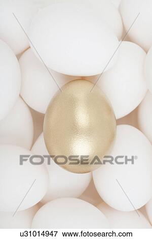 Stock Photo - One golden egg among white eggs. Fotosearch