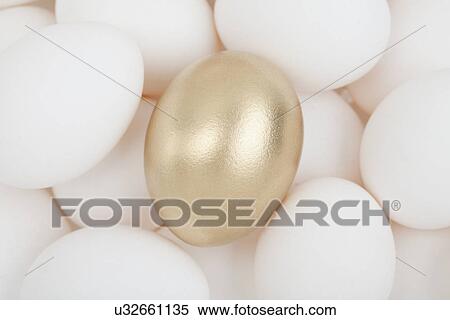 Stock Photography - One golden egg among white eggs. Fotosearch