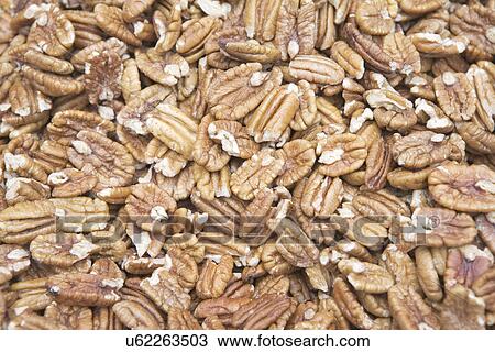 Pecan nuts, full frame View Large Photo Image Stock Image - Pecan nuts, full frame. Fotosearch