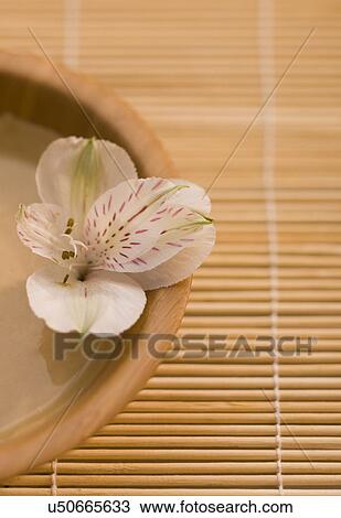 Stock Image - Peruvian lily (Alstromeria) in bowl of mud mask on bamboo mat. Fotosearch