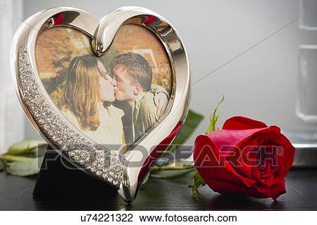 Photography of kissing couple and red rose View Large Photo Image Stock Image - Photography of kissing couple and red rose. Fotosearch
