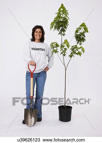 Stock Image - Portrait of woman with young maple tree and shovel. Fotosearch