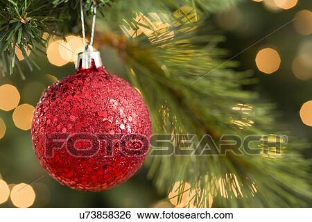 Red Christmas ornament on Christmas tree View Large Photo Image Stock Photograph - Red Christmas ornament on Christmas tree. Fotosearch