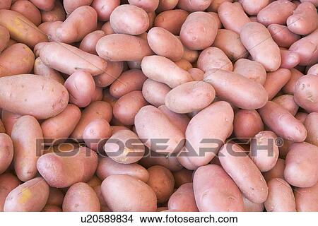 Red potatoes, full frame View Large Photo Image Picture - Red potatoes, full frame. Fotosearch