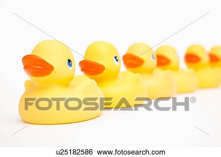 Rubber ducks in a row View Large Photo Image Stock Photograph - Rubber ducks in a row. Fotosearch