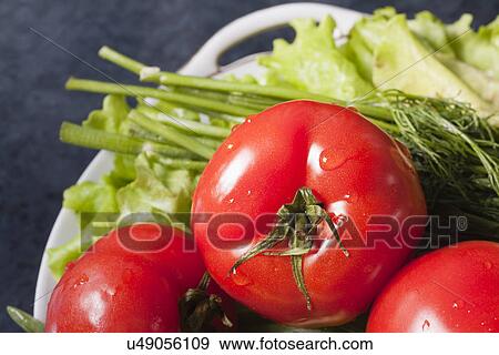 Russia, Voronezh, fresh tomatoes View Large Photo Image Stock Photo - Russia, Voronezh, fresh tomatoes. Fotosearch
