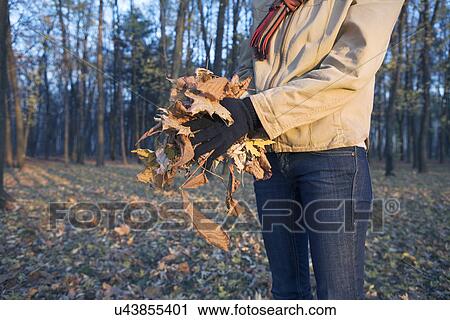 Stock Image - Russia, Voronezh, Mid section of young woman holding Autumn leaves in park. Fotosearch
