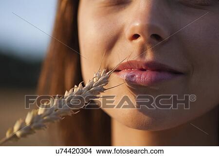 Russia, Voronezh, woman holding stalk of wheat to mouth View Large Photo Image Picture - Russia, Voronezh, woman holding stalk of wheat to mouth. Fotosearch