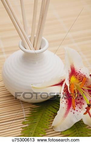 Scented sticks and lily flower in spa, Studio shot View Large Photo Image Stock Image - Scented sticks and lily flower in spa, Studio shot. Fotosearch