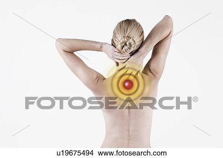 South Africa, Cape Town, Rear view of shirtless young woman touching neck View Large Photo Image Picture - South Africa, Cape Town, Rear view of shirtless young woman touching neck. Fotosearch