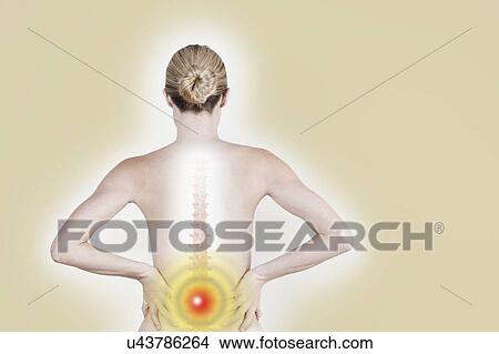 Picture - South Africa, Cape Town, Rear view of shirtless young woman suffering from backache. Fotosearch