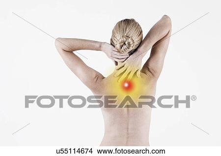 South Africa, Cape Town, Rear view of shirtless young woman touching neck View Large Photo Image Picture - South Africa, Cape Town, Rear view of shirtless young woman touching neck. Fotosearch
