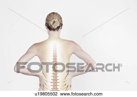 Stock Image - South Africa, Cape Town, Rear view of shirtless young woman with spine visible on back. Fotosearch