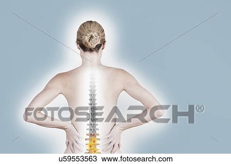 South Africa, Cape Town, Rear view of shirtless young woman suffering from backache View Large Photo Image Stock Image - South Africa, Cape Town, Rear view of shirtless young woman suffering from backache. Fotosearch