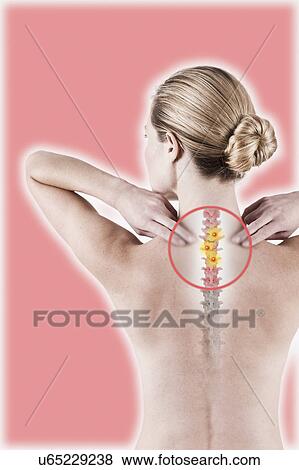 Stock Photo - South Africa, Cape Town, Rear view of shirtless young woman touching neck. Fotosearch