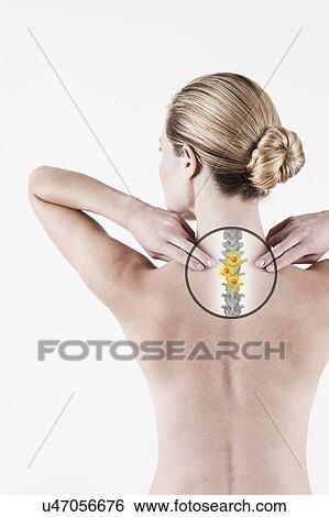 Stock Photograph - South Africa, Cape Town, Rear view of shirtless young woman touching neck. Fotosearch