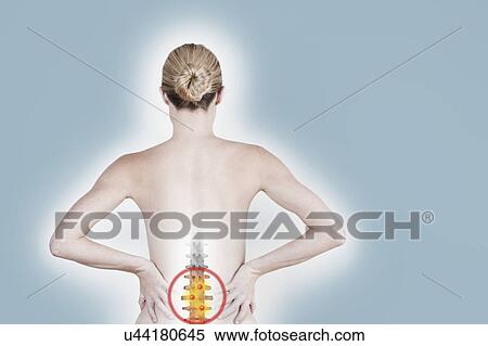 South Africa, Cape Town, Rear view of shirtless young woman suffering from backache View Large Photo Image Stock Photography - South Africa, Cape Town, Rear view of shirtless young woman suffering from backache. Fotosearch