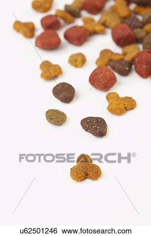 Spilled cat food View Large Photo Image Stock Photograph - Spilled cat food. Fotosearch