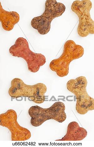 Spilled dog food View Large Photo Image Stock Image - Spilled dog food. Fotosearch