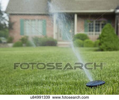 Sprinkler on lawn in front of house View Large Photo Image Stock Photo - Sprinkler on lawn in front of house. Fotosearch