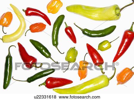 Studio shot of assorted peppers View Large Photo Image Stock Photo - Studio shot of assorted peppers. Fotosearch
